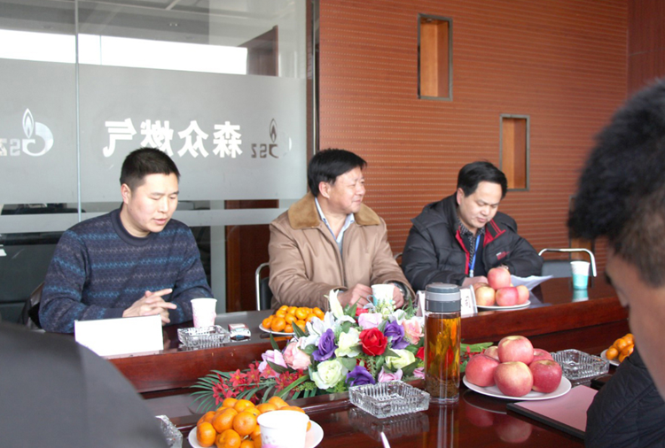 林口县政府与沈阳磊落全屋定制家居有限公司燃气项目洽谈.png